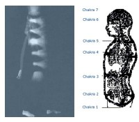 chakras
