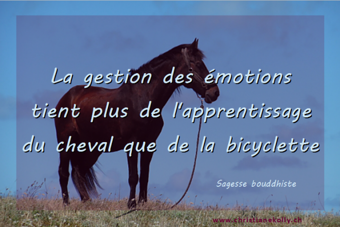 La gestion des émotions tient plus de l'apprentissage du cheval que de la bicyclette - Sagesse bouddhiste