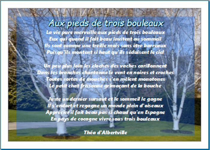 Aux pieds de trois bouleaux - Théa d'Albertville